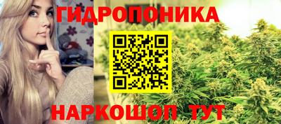 прущие крисы Конаково