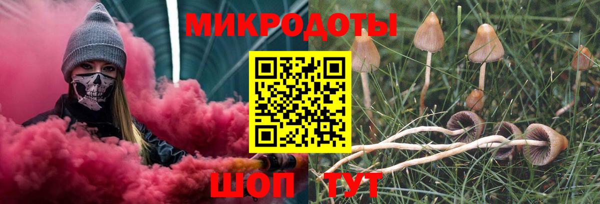 Красногорск  Галлюциногенные грибы MAGIC MUSHROOMS  как найти закладки  Галлюциногенные грибы Magic Shrooms  Вход с VPN 